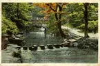 Notering på kortet: Stepping stones, jesmond dene, Newcastle on tyne.