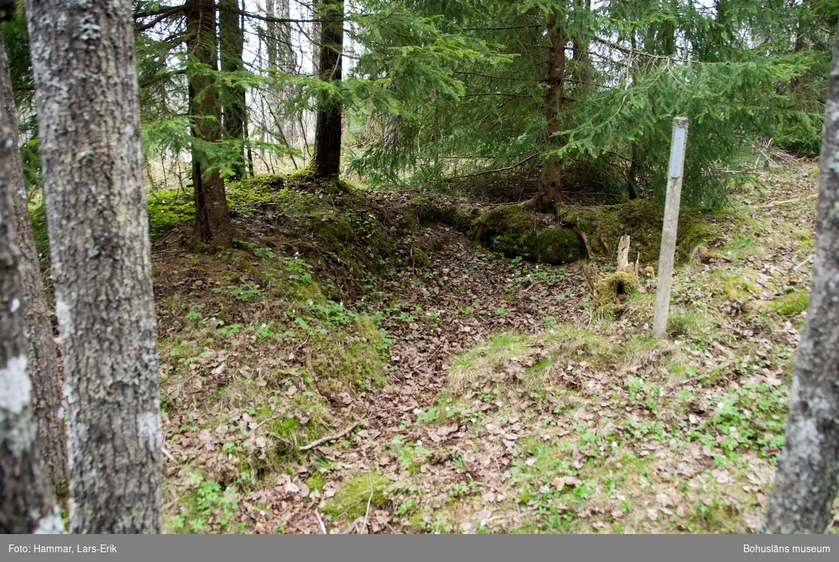 Här på det så kallade Skojareberget bodde på 1800-talet och vid 1900-talets början ett flertal familjer ur resandefolket. De försörjde sig på hantverk och handel som bedrevs i både Sverige och Norge.

Her på det såkalte Skojareberget bodde på 1800-tallet og på begynnelsen av 1900-tallet flere familier av romanislekt. De livnærte seg av håndverk og handel som ble bedrevet i både Sverige og Norge.