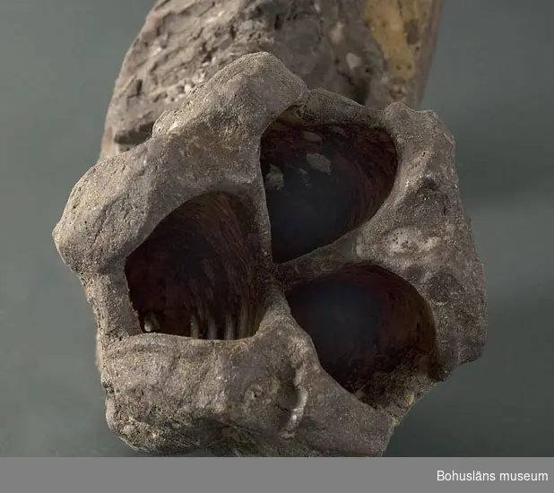 Skulptur "Fröhus" i terrakotta med glasyr i gult och mangan.
Inristad signatur i sockelns ovansida Greta Johanson.
Kompletterande upplysningar se UM019982