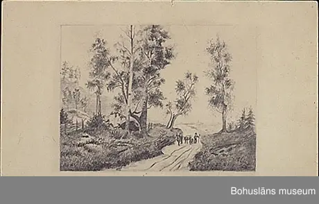 Anteckning på papperets baksida: Pennteckning av Birger Simonsson (sign. B.S.) vid 13 års-åldern. Tillhör Fru Lissa Wallin, Underås, Uddevalla.
Bildstorlek: 9,6 x 13,0 cm; omonterad.

Ur punktnummerkatalogen 1958-1976:
Fru Lisa Wallin, Strömstadsv. U:a
Blyertsteckning
Birger Simonsson