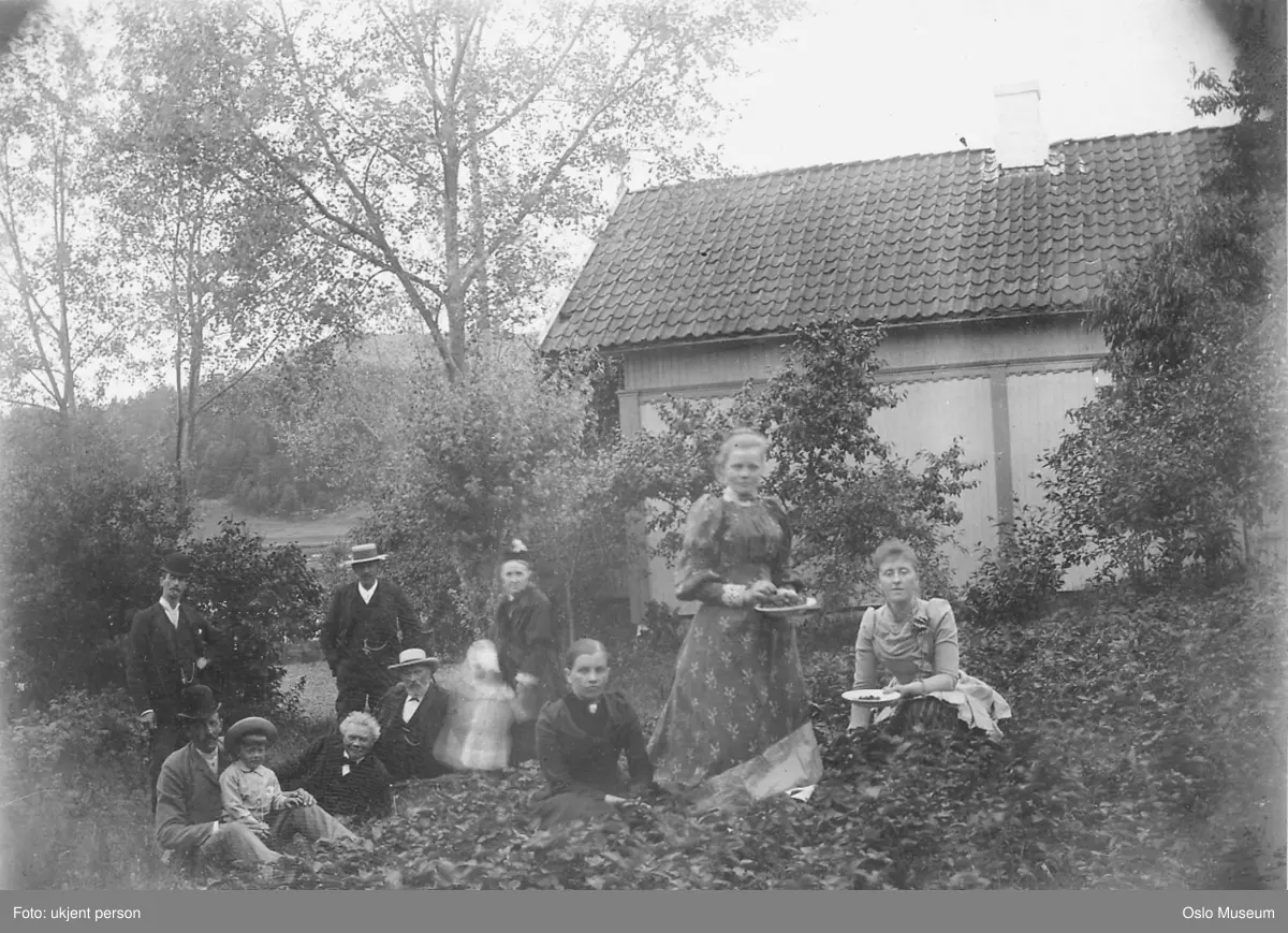gård, hage, jordbæråker, jordbærplukking, menn5, kvinner4, barn2