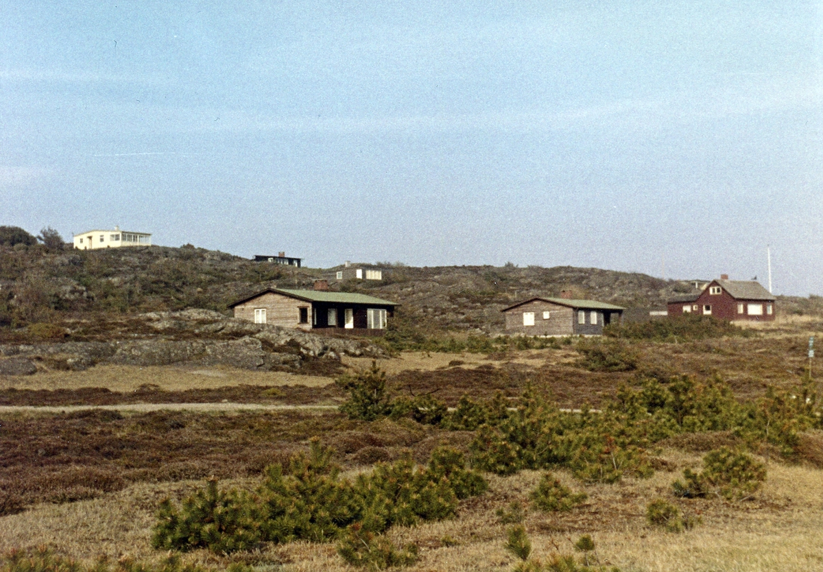 Bua