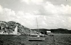 Släps sn. Särö. Kustmotiv.
Foto 1 Från Budskär mot väster. S