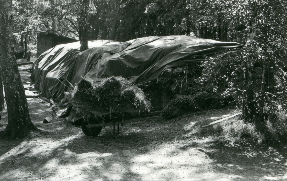 Halmtakläggning på manhusbyggnaden från Krafsagården i Olofstorp, Valinge i september 1980.