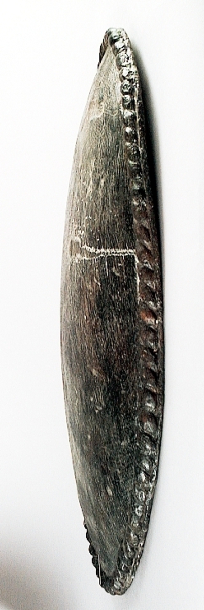 Skulpterad stor, oval och bukig sköld. Skölden pryds av en enkel och tunn kantbård, i form av ett snott band. Framsidan är slät, liksom den urgröpta baksidan. I den ena änden finns ett hål med ett runt märke efter spikhuvud. I den andra änden finns två hål, med fyrkantiga spår av spikhuvuden. Samtliga hål är placerade innanför kantbården.
Skölden är välbevarad, förutom några mindre sprickor.

Text in English: A sculpted large bulging oval shield.
The shield is decorated with a single cord edging, in the form of a slanting band. Front and back are smooth. The back is hollowed out.  At one end of the shield is a hole with the mark from a nail head, at the other end are two holes, with marks of square nail heads. All the holes are situated within the border.
The shield is well preserved, except for a few small cracks.