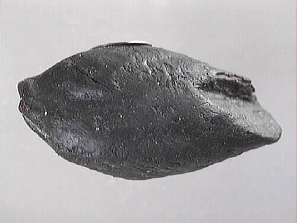 Del av arm till en skulpterad krigare. Oval form. Ovansidan är rundad. Baksidan är troligtvis bruten. Ena kortänden är bruten.
Skulpturdelen är mycket sliten.

Text in English: Part of sculpted arm of a warrior. Oval shaped. Slightly more rounded on one side, one end is broken. Much worn.