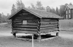 Registreringsfoto utförd av Henrik Åsenius, på Norra berget 
