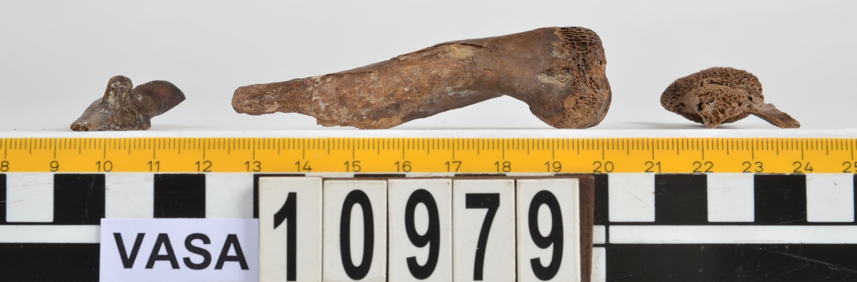 Ben från får/get (Ovis aries/Capra hircus).
1 st. fragment av skulderblad (scapula).
1 st. överarm (humerus).
1 st. strålben (radius).
1 st armbågsben (ulna).
1 st. lårben (femur).
1 st. skenben (tibia).
1 st. del av bäckenben ( del av pelvis).