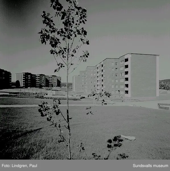 Stadsdelen Nacksta med hyreslägenheter i flerbostadshus, skivhus och lamellhus, uppförda av AB Sundsvallsbyggen, 1967 - 1971.