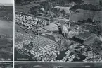 Flygbild över Karlsviks sågverk. Del av vykort.