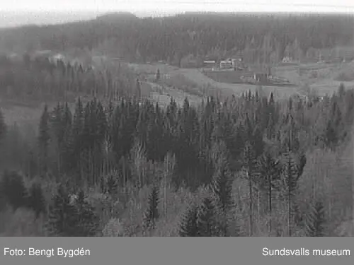 SuM-foto010730