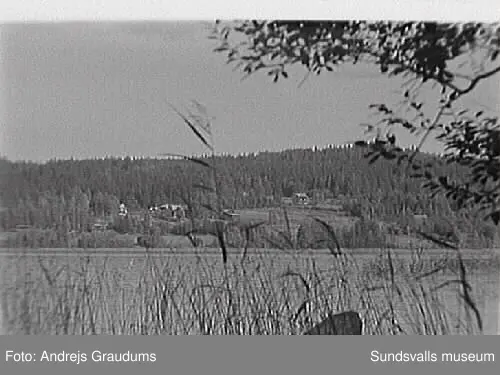 SuM-foto010763