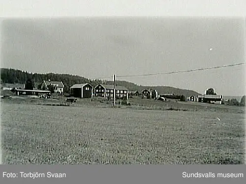 SuM-foto011780