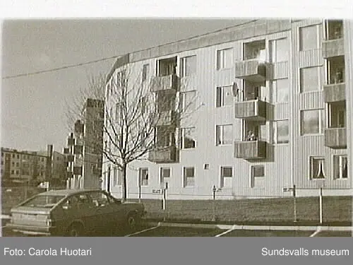 SuM-foto012142
