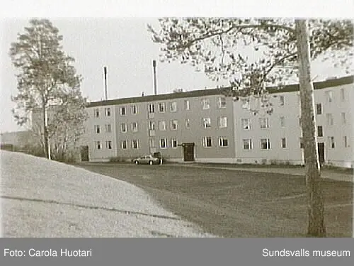 SuM-foto012142