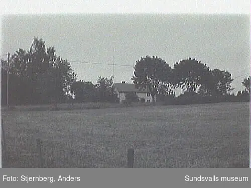 SuM-foto012569