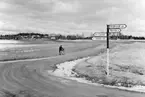 Lantbrevbärare, postiljon Erik Bergman (cykelåkande) i
Delsbo.  April 1956. Brevbäringsturen är 2 ½ mil lång och omfattar nästan 300 hushåll.  Postväskan väger ofta 30-40 kg.