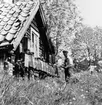 Brevlådsamling vid Östra Lagnö. Lantbrevbärare (cyklande) Sven Eriksson, Ljusterö, under brevbäringstur mellan Västra Lagnö till Lagnö Ö (c:a 7 km).