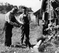 Brevlådsamling vid Östra Lagnö. Lantbrevbärare (cyklande) Sven Eriksson, från Ljusterö, under brevbäringstur mellan Västra Lagnö till Lagnö Ö (c:a 7 km).