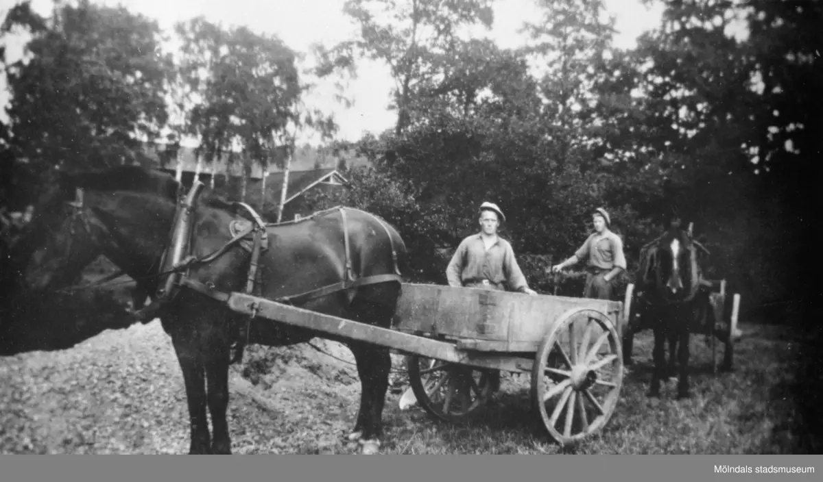 Arvid och Gustav bygger väg i Hällesåker, 1930. De har var sin häst med en kärra som kallades (Goppa), en kärra med flak som var ledad vid hjulaxeln. Fullt lass tippades med lätthet.