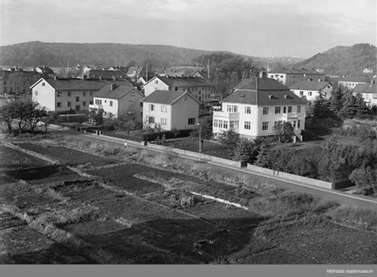 Längst till höger ses trädgårdsmästare Peterséns villa Annehill på Växthusgatan 16B. Se även 1994_0996.