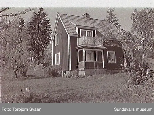 SuM-foto016420