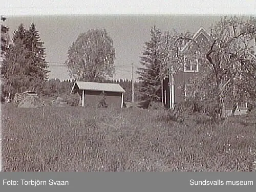 SuM-foto016420