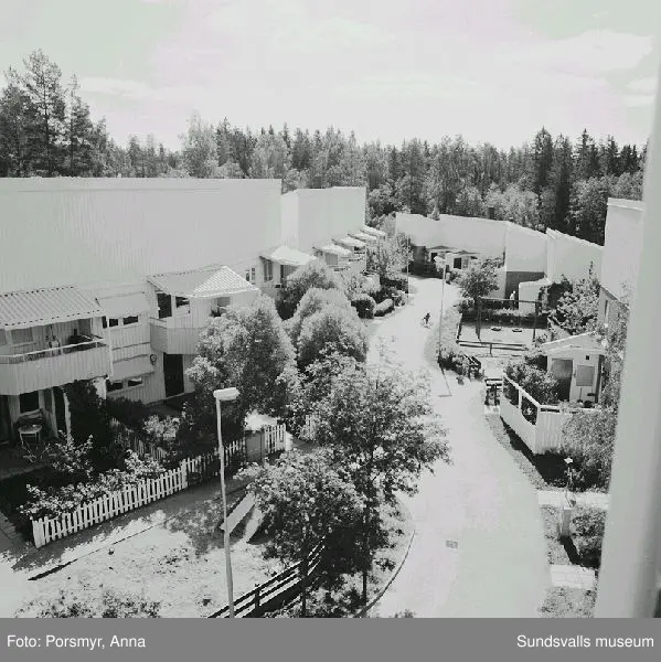 Bostadsrättsföreningen Champinjonen, Granloholm. Bild 01- 02, utsikt från höghuset, Kungsbackavägen 55 ner över gård 3. Bild 03 - 04, utsikt från höghuset Kungsbackavägen 1. Bild 05, höghuset Kungsbackavägen 1, gård 1. Bild 06, garage och gård 2. Bild 07, infart till gård 2. Bild 08, garage och höghuset, gård 3. Bild 09 - 11, utsikt från höghuset, gård 3. Bild 12, höghuset Kungsbackavägen 55, gård 3, balkongsidan åt  SV.