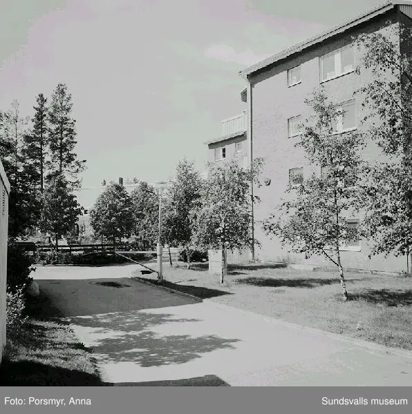 Bostadsrättsföreningen Champinjonen, Granloholm. Bild 01- 02, utsikt från höghuset, Kungsbackavägen 55 ner över gård 3. Bild 03 - 04, utsikt från höghuset Kungsbackavägen 1. Bild 05, höghuset Kungsbackavägen 1, gård 1. Bild 06, garage och gård 2. Bild 07, infart till gård 2. Bild 08, garage och höghuset, gård 3. Bild 09 - 11, utsikt från höghuset, gård 3. Bild 12, höghuset Kungsbackavägen 55, gård 3, balkongsidan åt  SV.