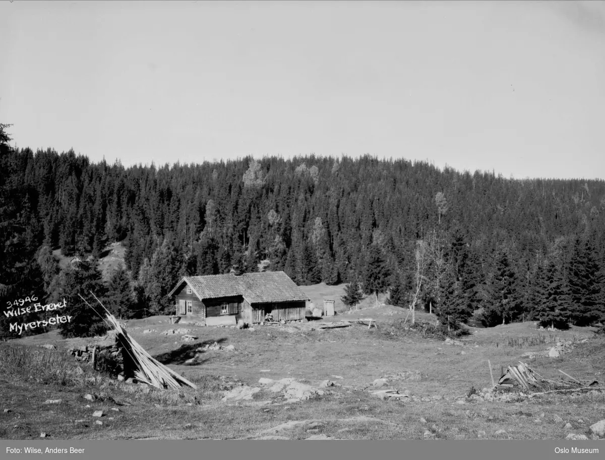 seter, kulturlandskap, skog