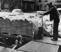 Utkörning av pallaster till lastbil, vid ICA-kurirens
distributionsavdelning, f.v.b. till järnvägen.