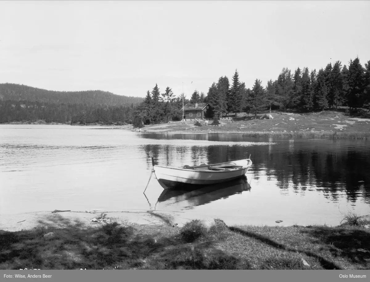 vann, robåt, hytte, skog