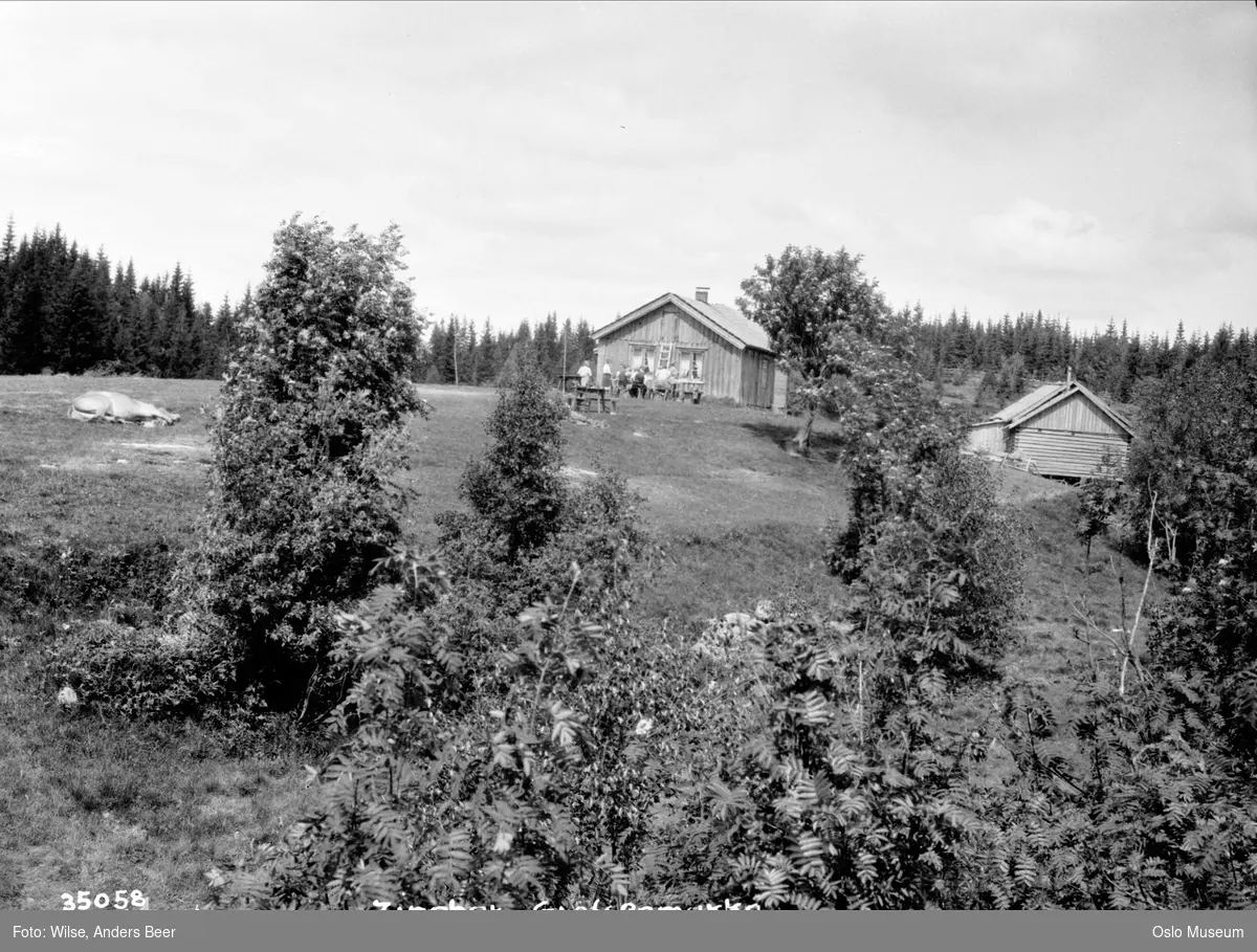 plass, serveringssted, mennesker, hest, kulturlandskap, skog