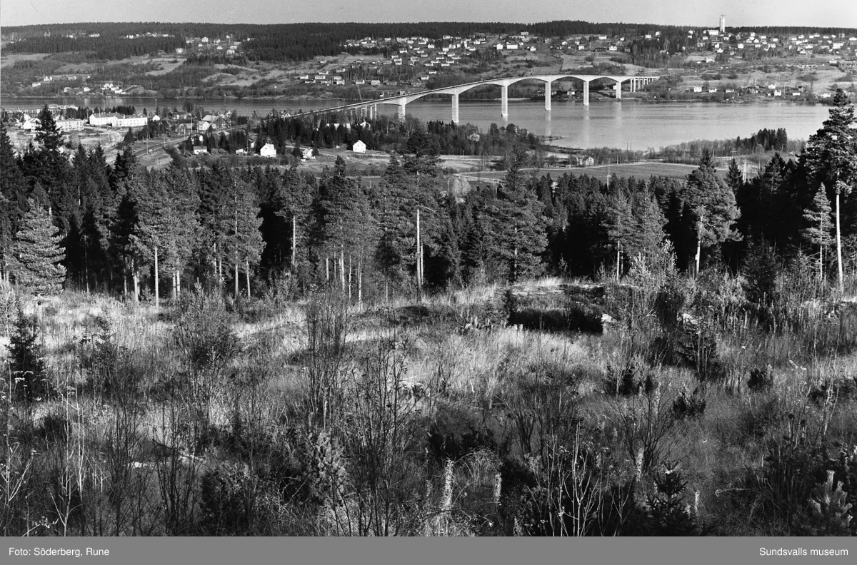 Alnöbron.