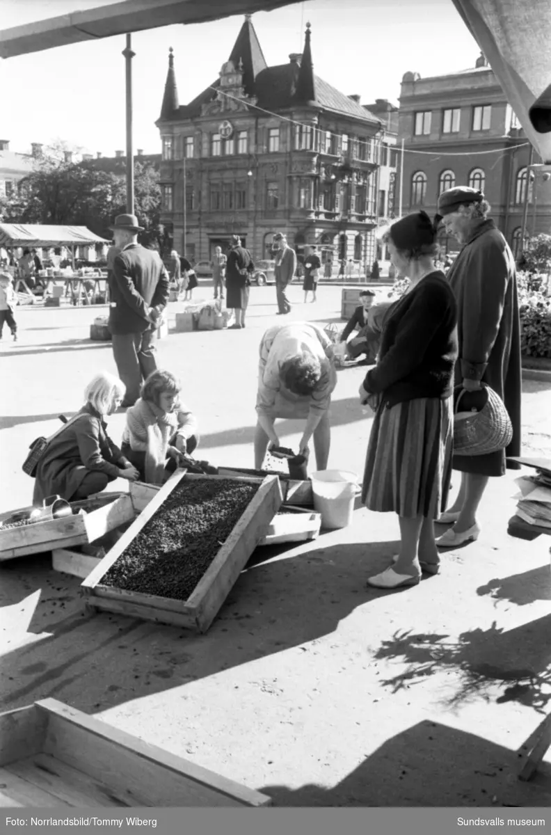 Torgkommersen är i full gång och mängder av frukt, bär, grönsaker och blommor finns till försäljning. Bilderna tagna till ett reportage i Dagbladet.