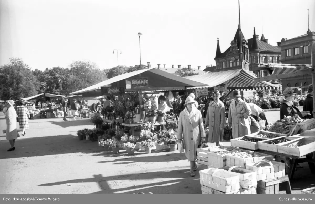Torgkommersen är i full gång och mängder av frukt, bär, grönsaker och blommor finns till försäljning. Bilderna tagna till ett reportage i Dagbladet.