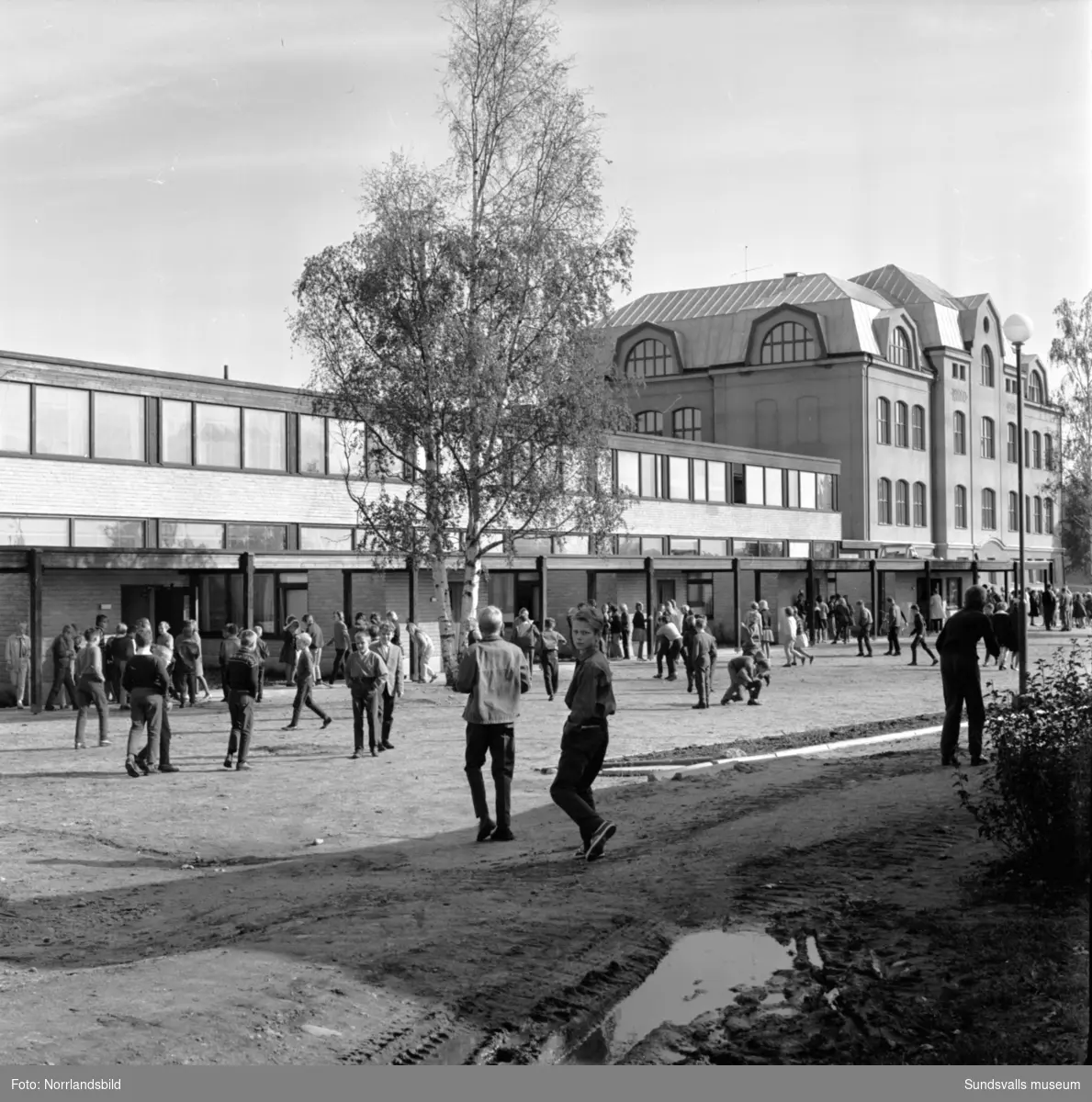 Bilder från ett reportage i Dagbladet om det ökande bostadsbyggandet i Skönsberg. Kommunaldirektören i Sköns köping, Edvin Andersson i centrala Skönsberg, lekande barn på Sibirienvägen i Ortviken samt vid Skönsbergs  skola.