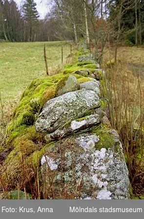 Hägnaderna/Västra Hägna - fägatan, detalj stenmur.