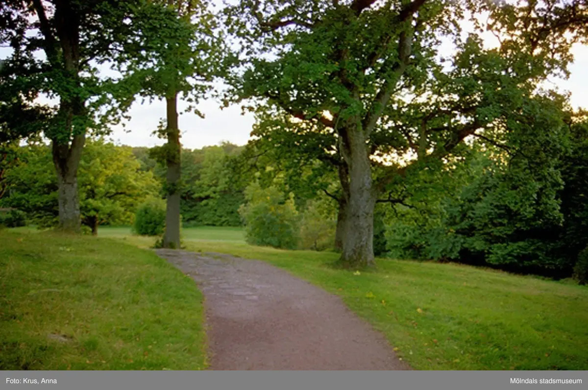 Park vid Gunnebo slott.