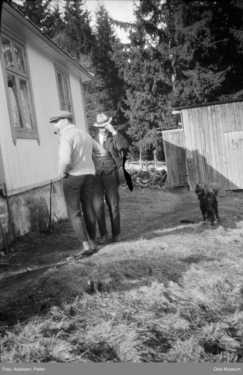 hyttetur, hytte, tun, menn, hund, uthus, skog