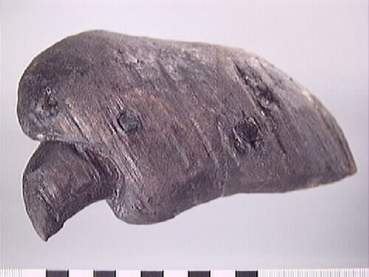 Skulpturdel till lejonfigur. En klo, tillverkad i tre delar och sammanfogade med 2-4 trädymlingar. Välbevarad.

Text in English: Part of a sculpture, a claw belonging to a lion figure. Carved in three pieces which are held together by 2-4 wooden pegs.
Well preserved.