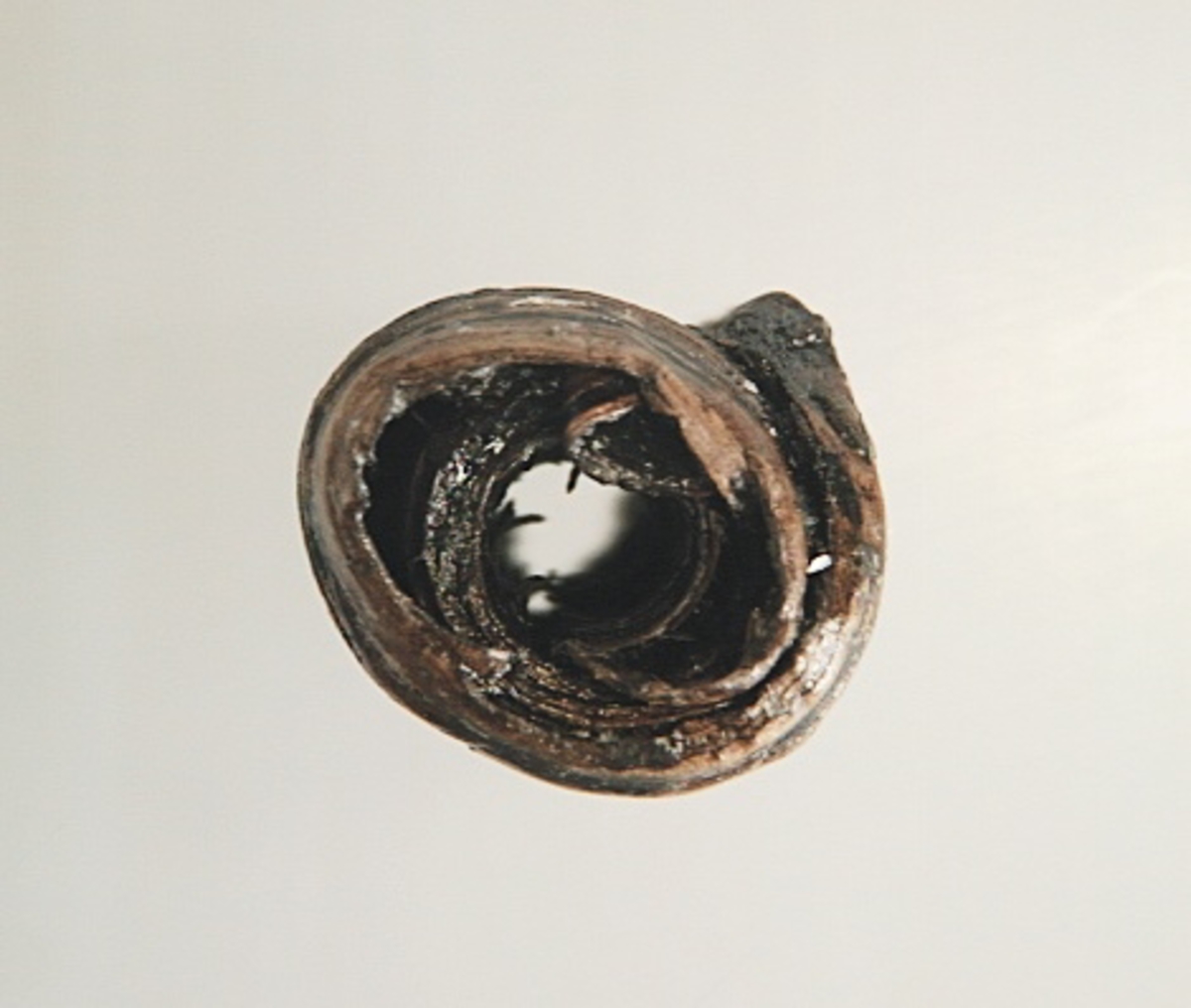 Ett flöte av näver. Flötet har formen av en rulle. I flötets mitt finns ett ca 10 mm brett hål som lötper genom rullen. Flötet är välbevarat.