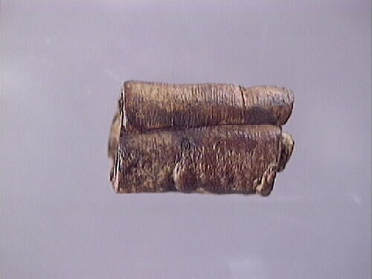 Ett flöte av näver.
Flötet består av en bit näver som har formen av en rulle. Flötet är välbevarat.