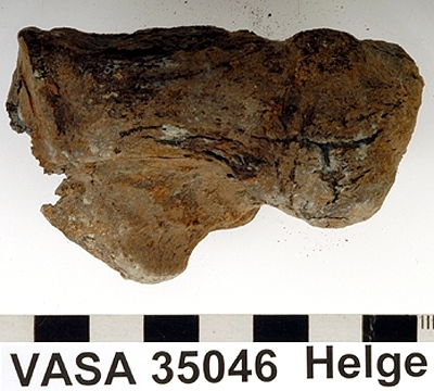 Hälben, vänster. Skadat.
Calcaneus, sinister.