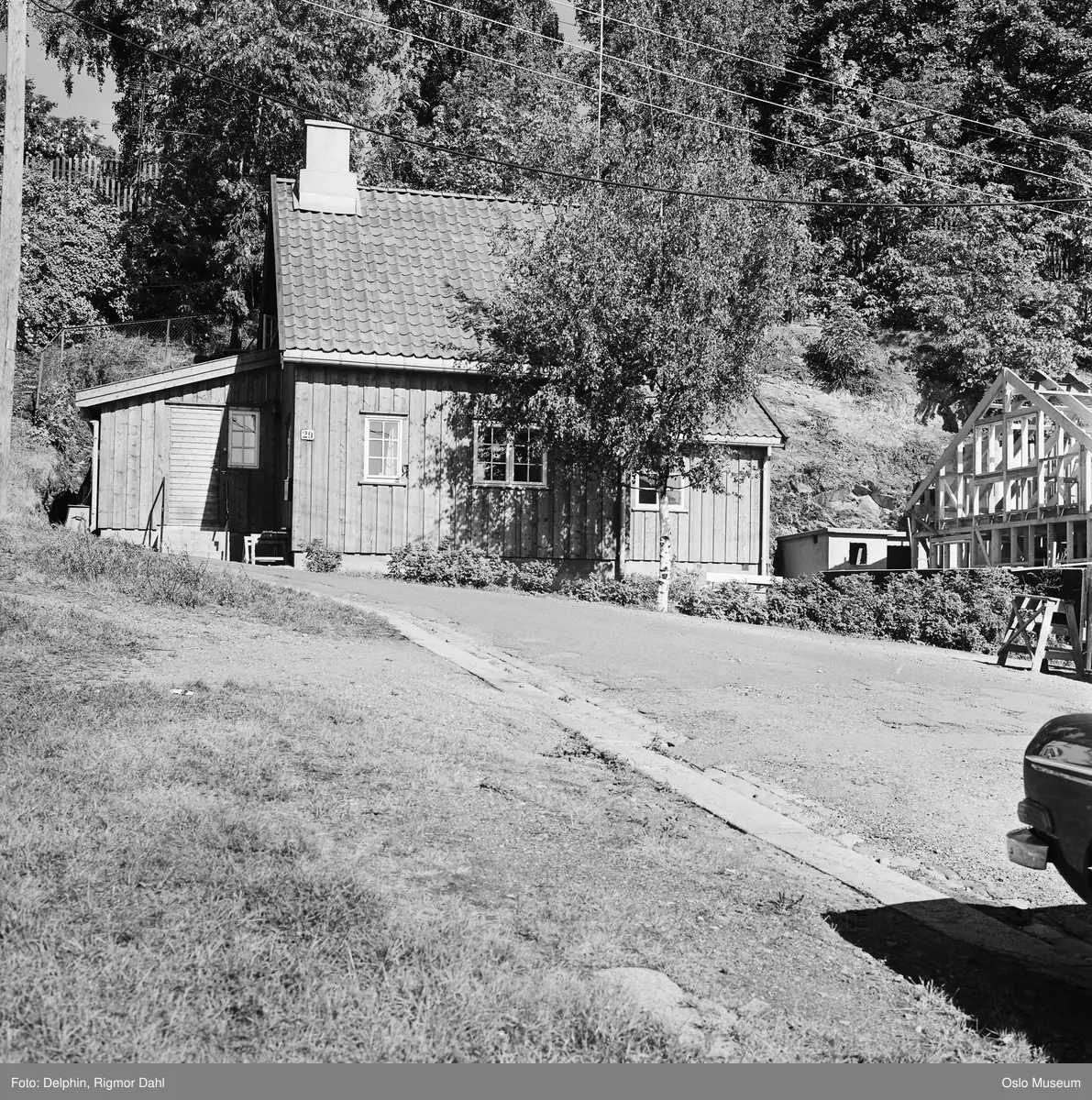 bolighus, trehus, hage
