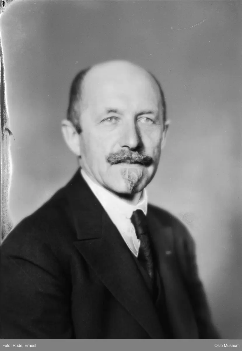 portrett, mann, forfatter, brystbilde