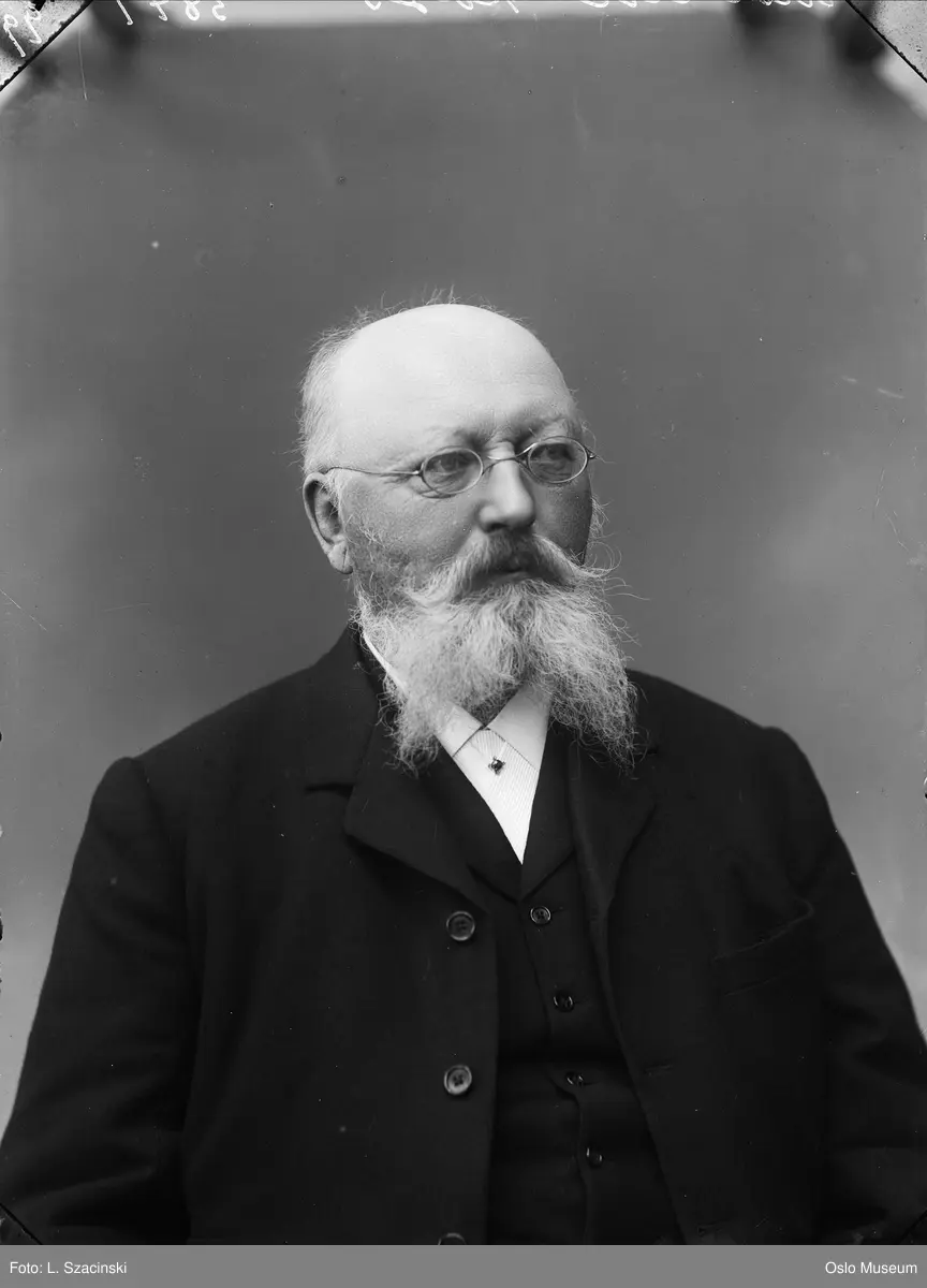 portrett, mann, kunstmaler, brystbilde