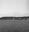 Uppland, Stockholms län, Frötuna skeppslag, Länna socken, Bergshamra. Bergshamra varv och verkstad från SV. juni 1950