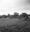 Uppland, Stockholms län, Frötuna skeppslag, Länna socken, Vettershaga. Sjöbodar vid stranden. Foto i juni 1950.