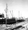 S/S Motala och M/S Don Carlos i dockan för reparation, aug 1954.